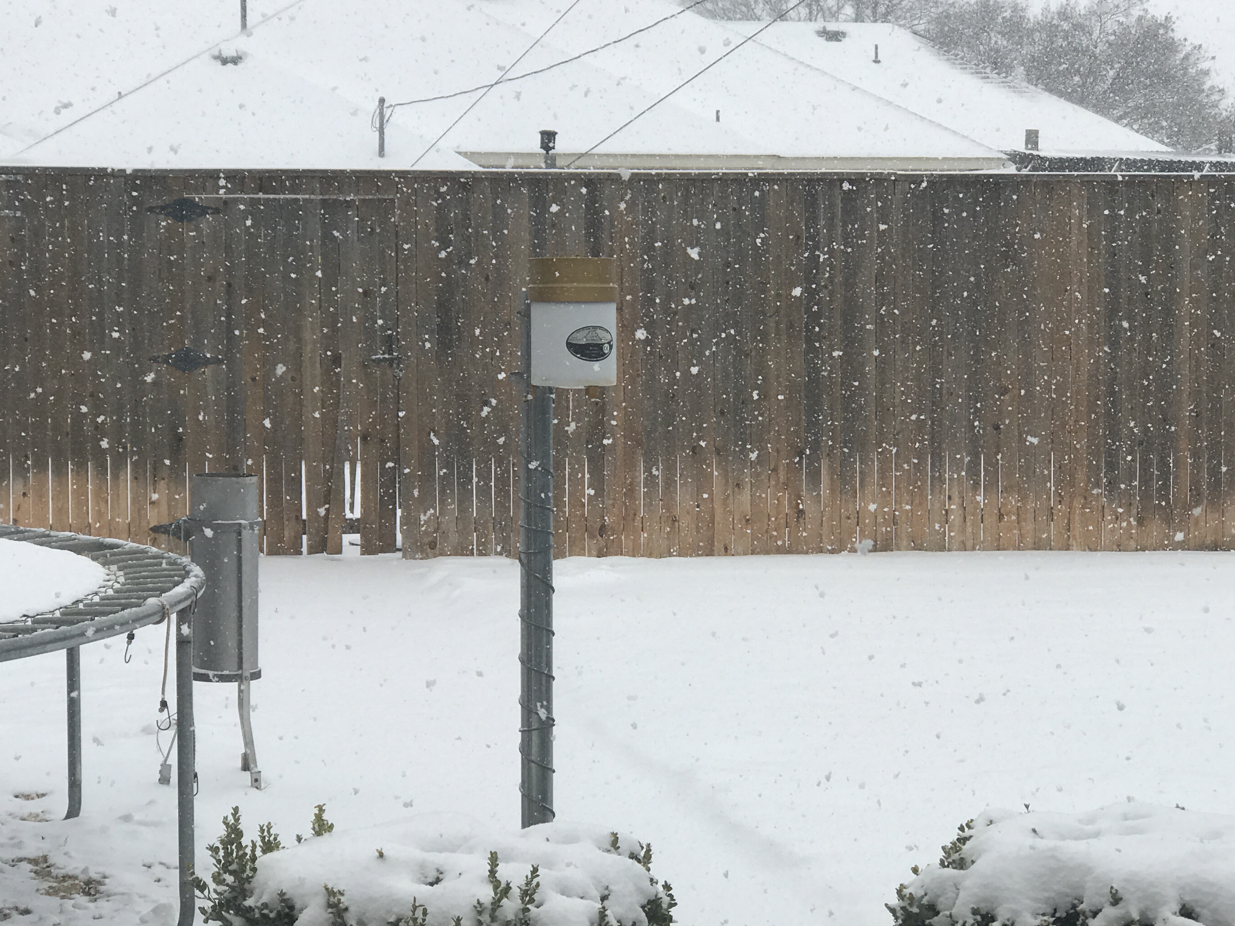 Snow falling in Shallowater early Tuesday afternoon (16 February 2021). The image is courtesy of Bruce Haynie.