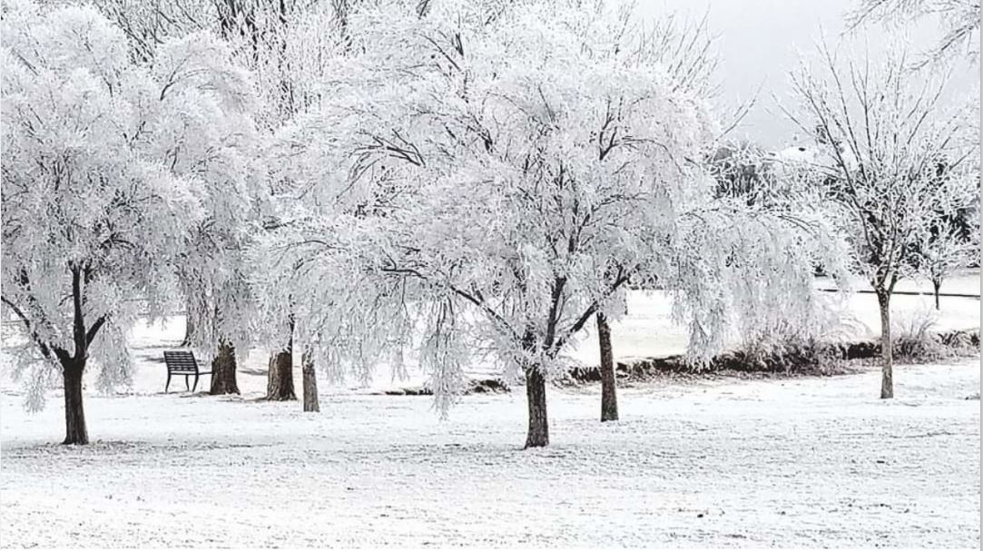 Clifford H Andrews Park, in Lubbock, covered in white Thursday morning (11 February). The picture is courtesy of Gary Cloud and KCBD.