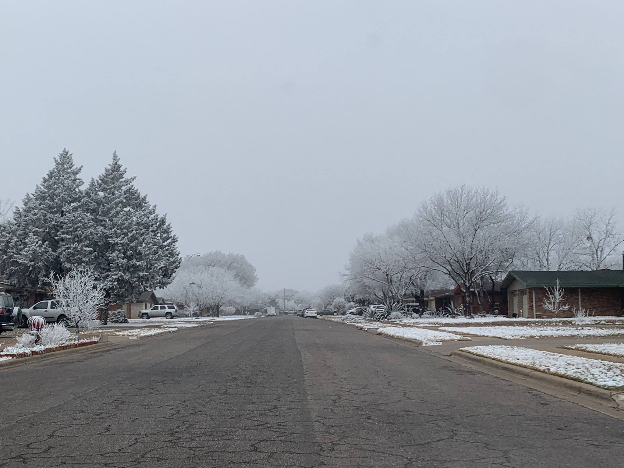 Northwest Lubbock plants covered in white after periods of freezing fog and freezing drizzle. The image was taken by @SAMT_WX on Wednesday evening (10 February).