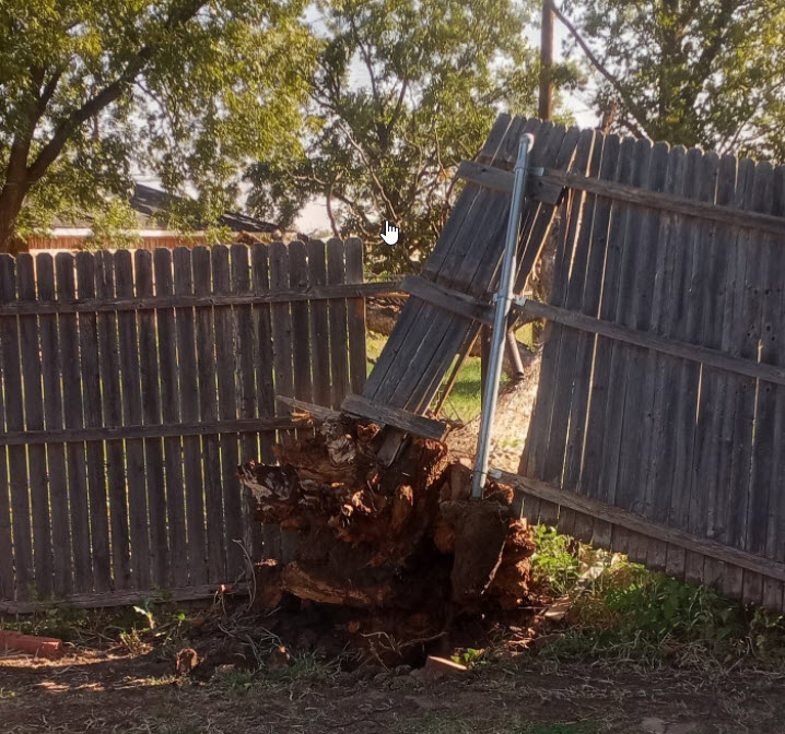 Fence and tree damage in Memphis on Wednesday, 27 October. The picture is courtesy of @Roman715 on Twitter.
