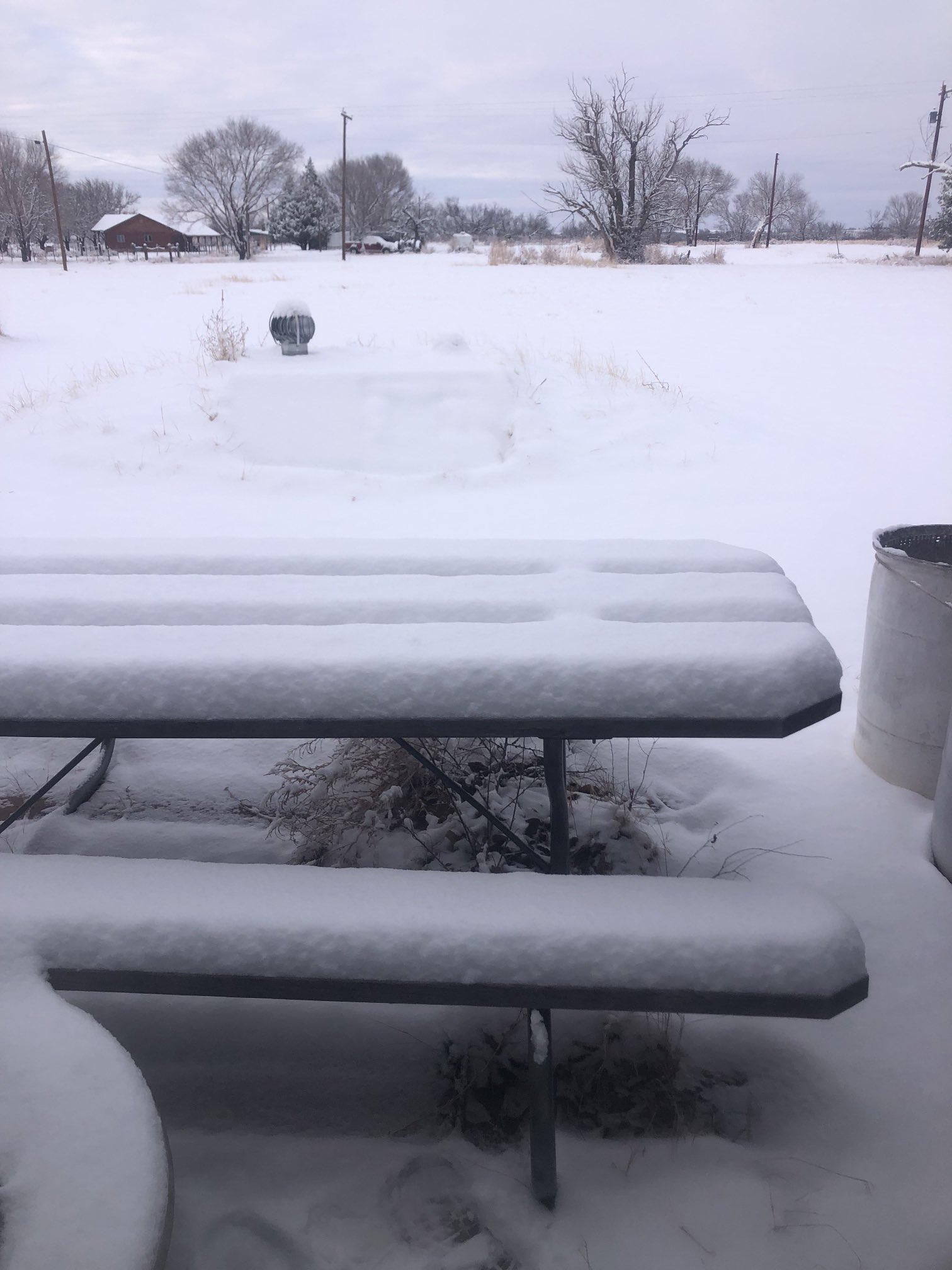 Wintry scene near Estelline, Texas, Wednesday afternoon (26 January 2022). Over 4" of snow fell during the afternoon hours. The image is courtesy of Craig Collins.