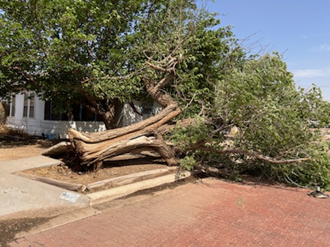 Damage sustained in Slaton on 17 May 2022. The image is courtesy of Trevor Barnes.