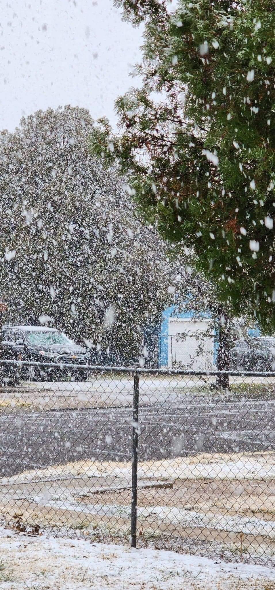 Heavy, wet snow falling in Hobbs Friday afternoon (25 November). The picture is courtesy of Sandra Rascon, via Jacob Riley and KLBK.