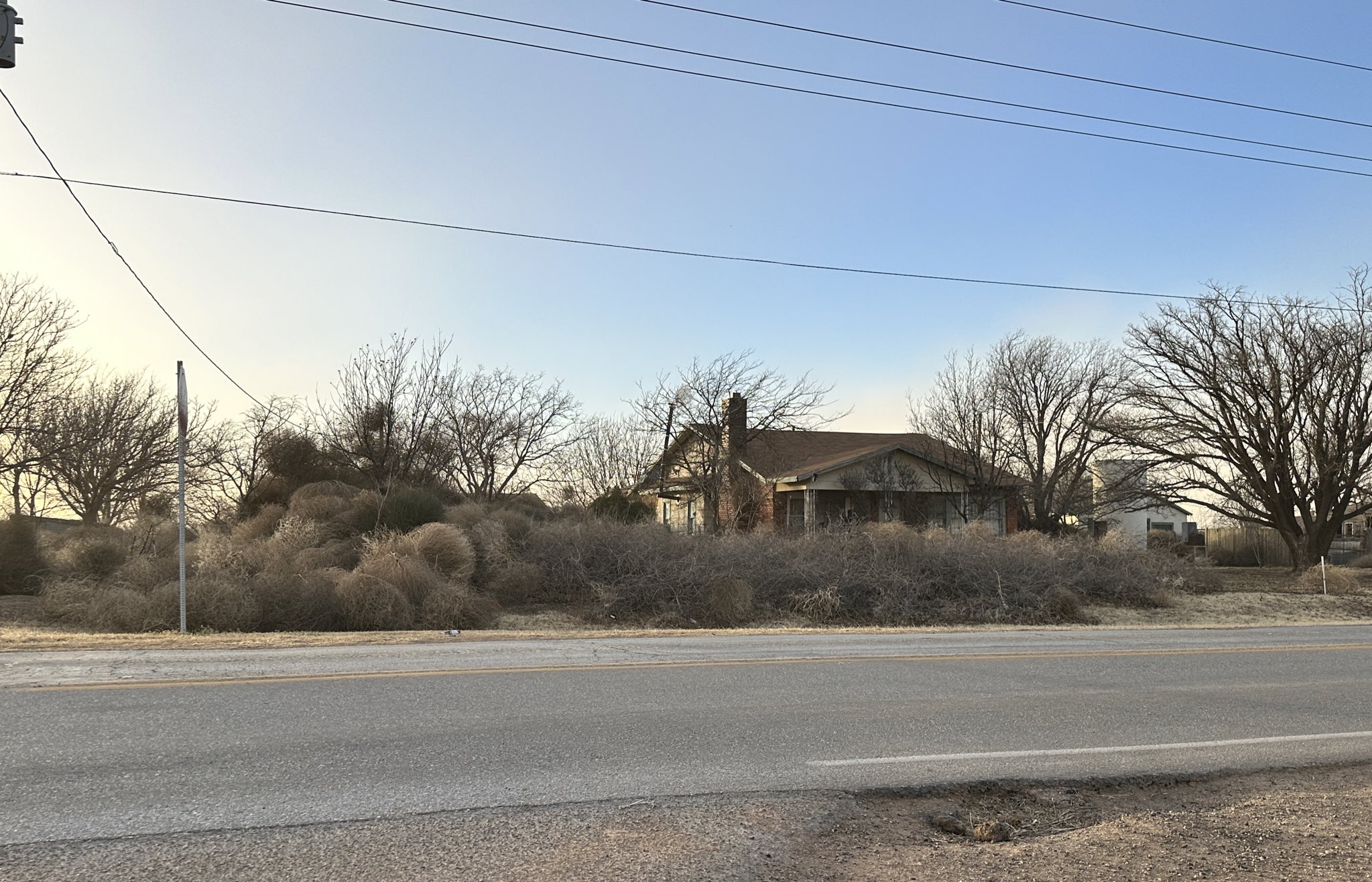 A "family" of tumbleweeds gathered around a homestead in early January 2023. The image is courtesy of Larry Rodriguez.