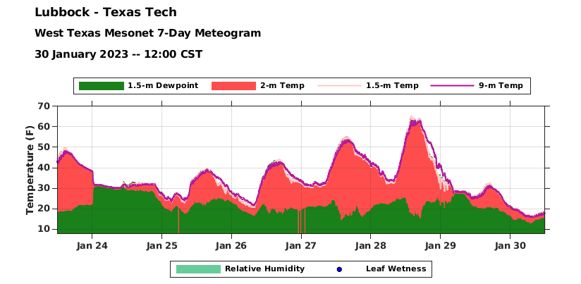 Chart showing the temperatures (red fill [2-m level], light pink line [1.5 m level] and purple line [9-m level) and dewpoint (green fill) measured by the West Texas Mesonet (WTM) site located near Texas Tech. Displayed are 7 days of data ending at noon on Monday (30 January 2023). 
